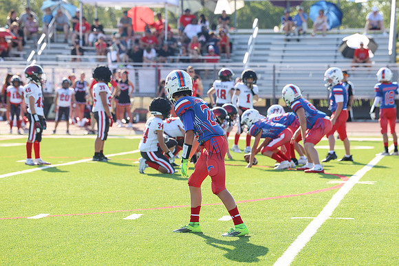 234argyle mblue26