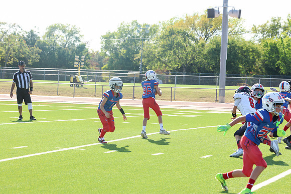 118argyle mblue26