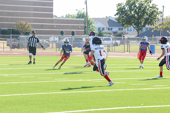 101argyle mblue26