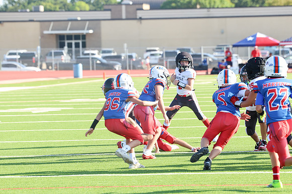 304argyle mblue26
