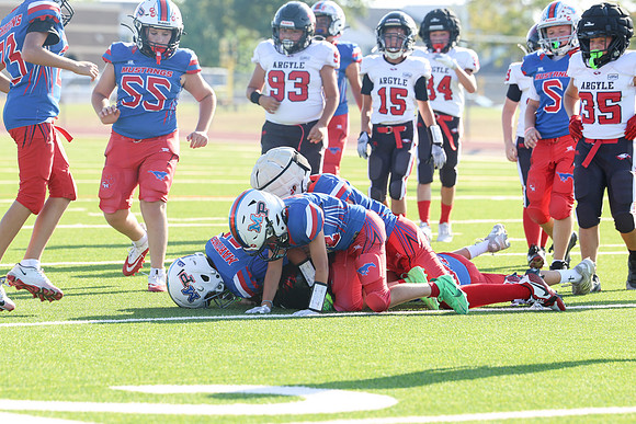 283argyle mblue26