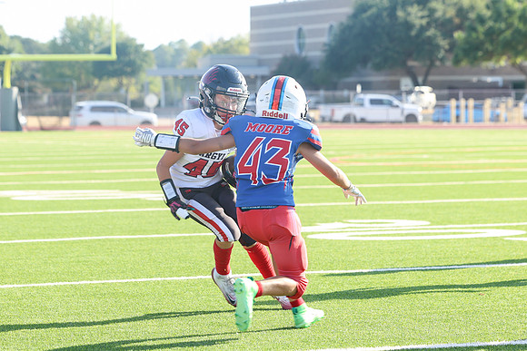 291argyle mblue26
