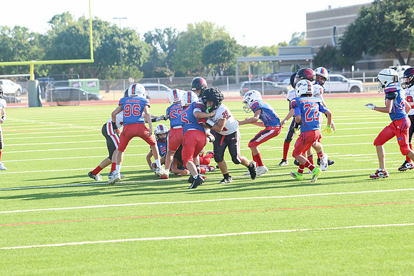 301argyle mblue26