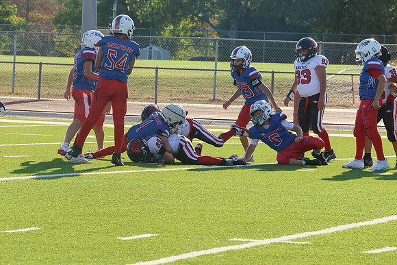 384argyle mblue26