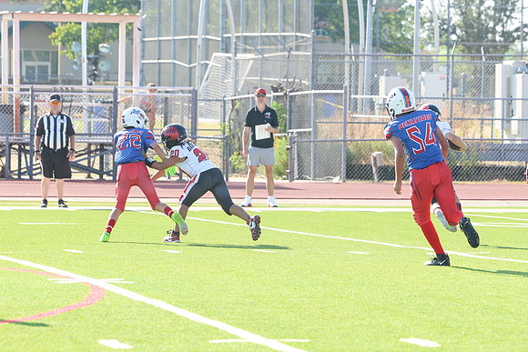 219argyle mblue26