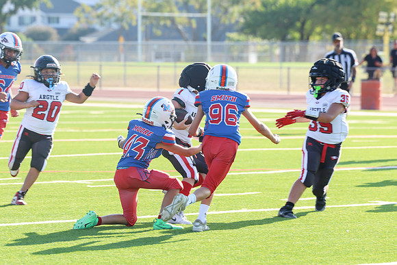 264argyle mblue26