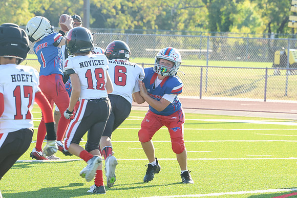 319argyle mblue26