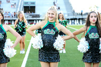 339allen eb26 andie nelson final