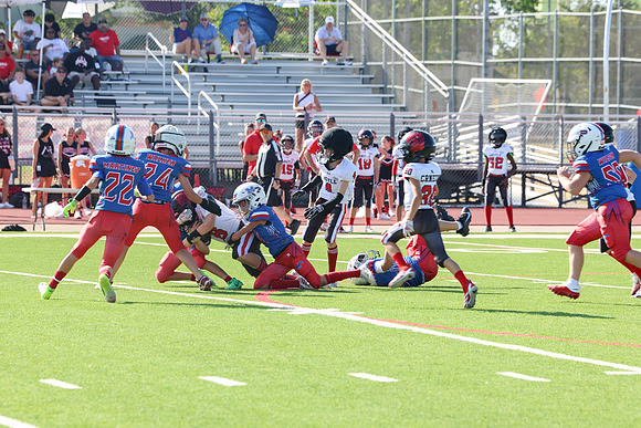 028argyle mblue26