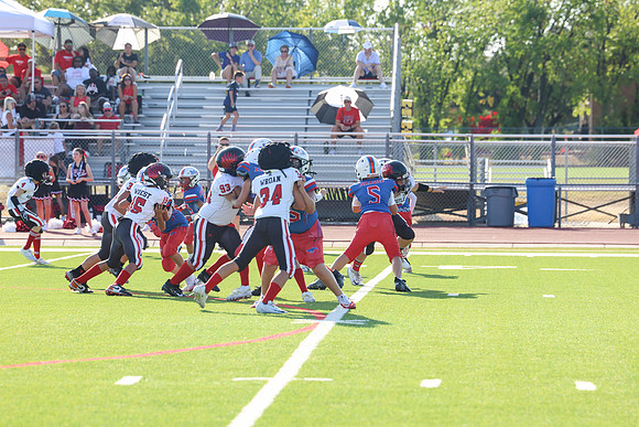 238argyle mblue26
