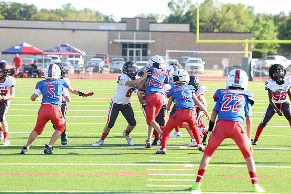 303argyle mblue26