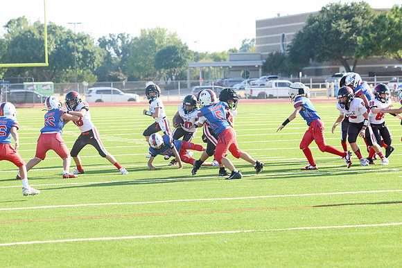298argyle mblue26