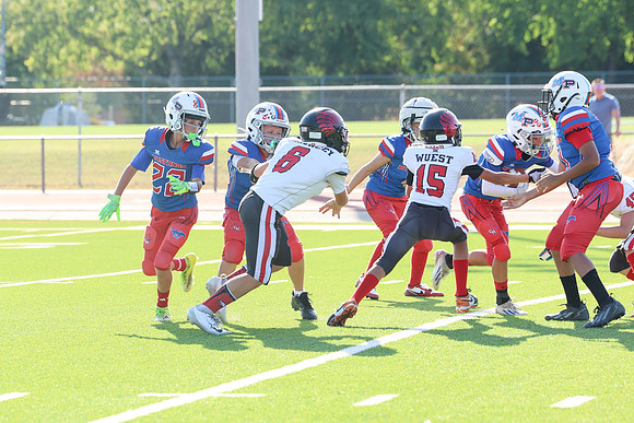 216argyle mblue26