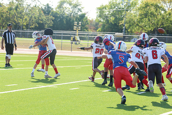 113argyle mblue26