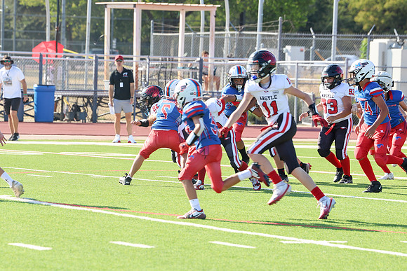 151argyle mblue26