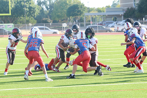 299argyle mblue26