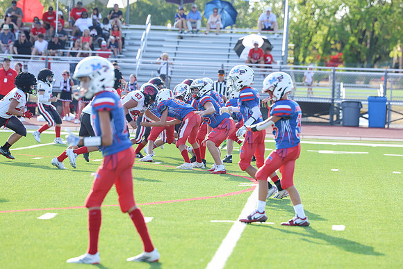 243argyle mblue26