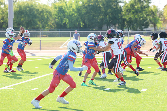 214argyle mblue26