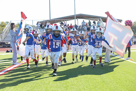 015mpblue wildcats1023