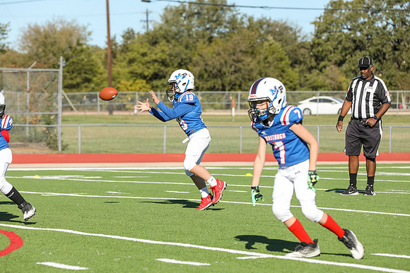 023mpblue wildcats1023