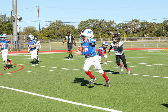 032mpblue wildcats1023