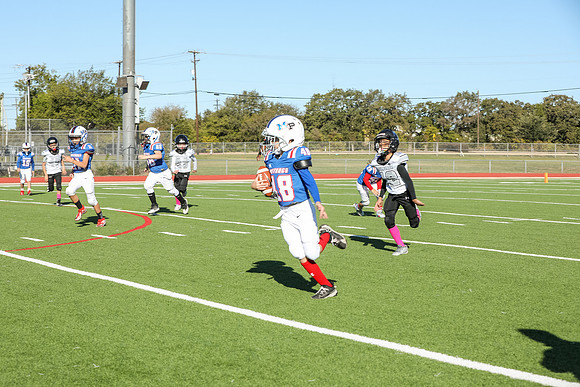 033mpblue wildcats1023