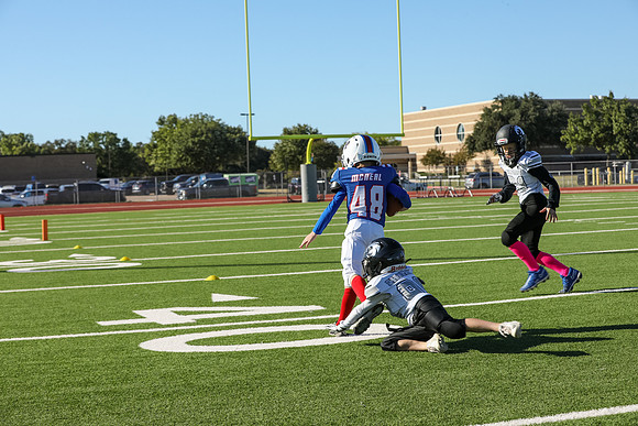043mpblue wildcats1023