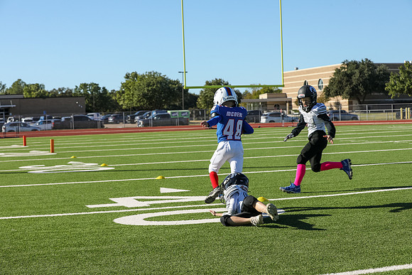 044mpblue wildcats1023