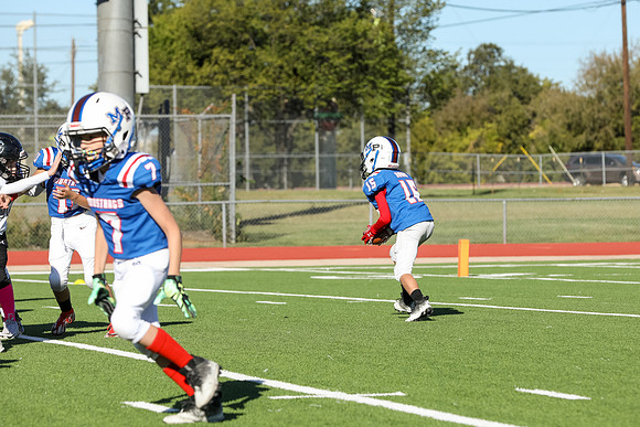 052mpblue wildcats1023