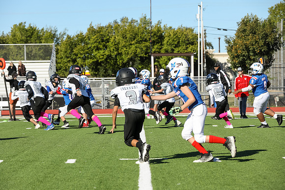 057mpblue wildcats1023