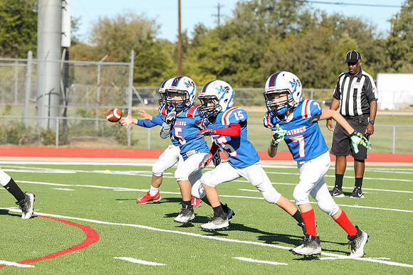 063mpblue wildcats1023