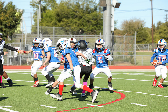 065mpblue wildcats1023