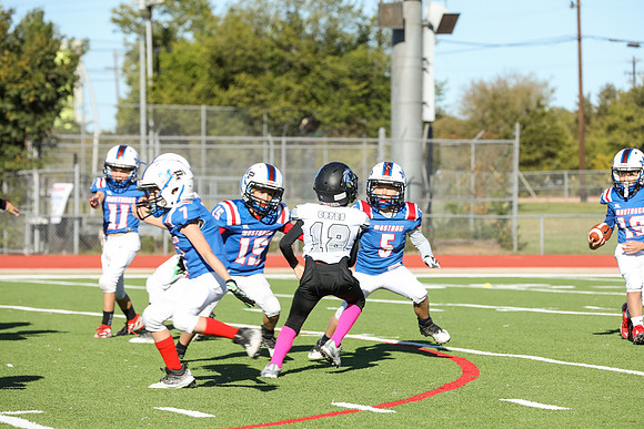 066mpblue wildcats1023