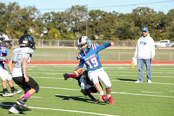 071mpblue wildcats1023