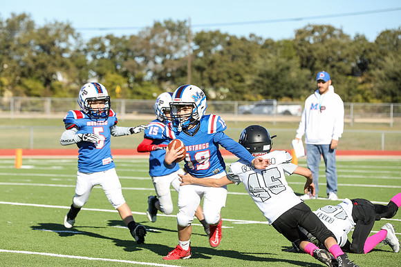 072mpblue wildcats1023