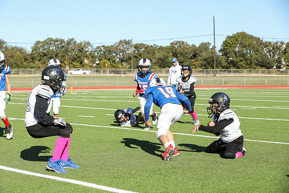 076mpblue wildcats1023