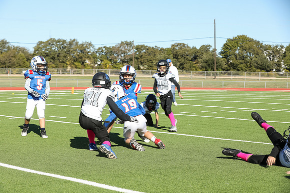 078mpblue wildcats1023