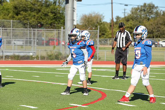 082mpblue wildcats1023
