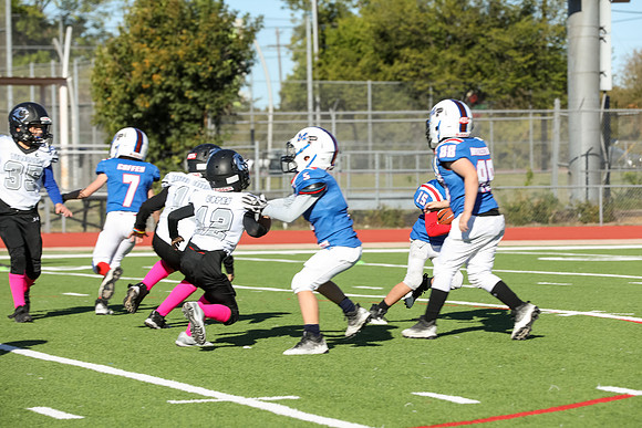 091mpblue wildcats1023