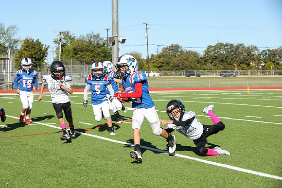 097mpblue wildcats1023