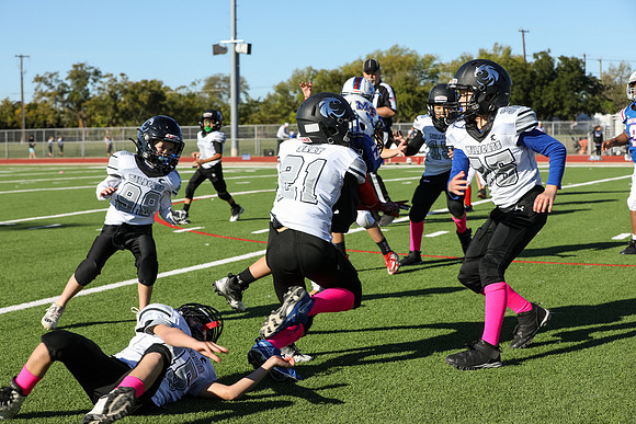 103mpblue wildcats1023