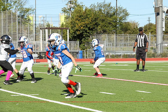 109mpblue wildcats1023