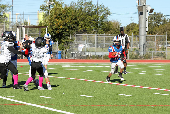 111mpblue wildcats1023
