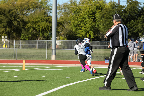 140mpblue wildcats1023