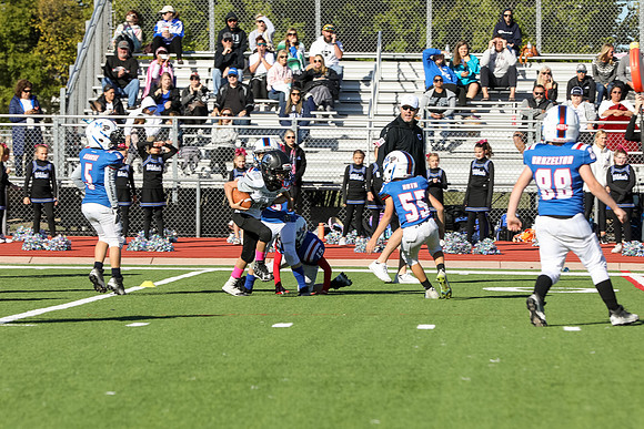 167mpblue wildcats1023