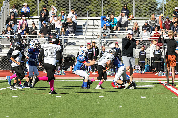169mpblue wildcats1023