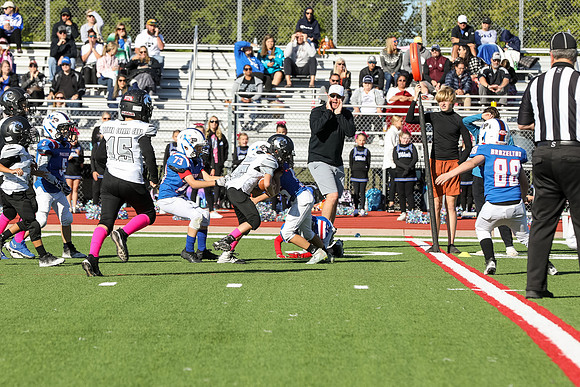 170mpblue wildcats1023