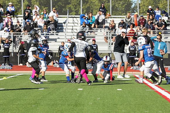 171mpblue wildcats1023