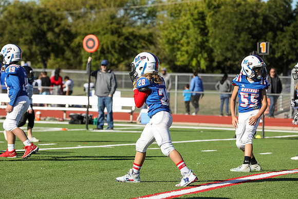 181mpblue wildcats1023