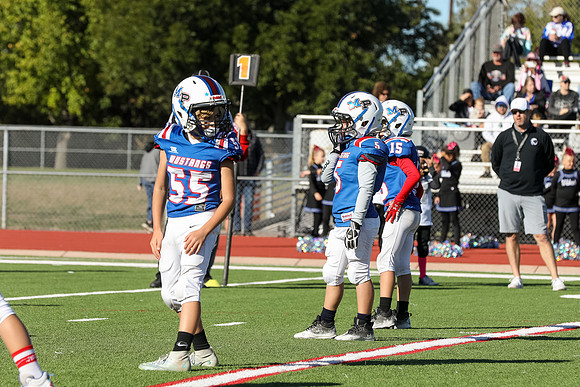 183mpblue wildcats1023